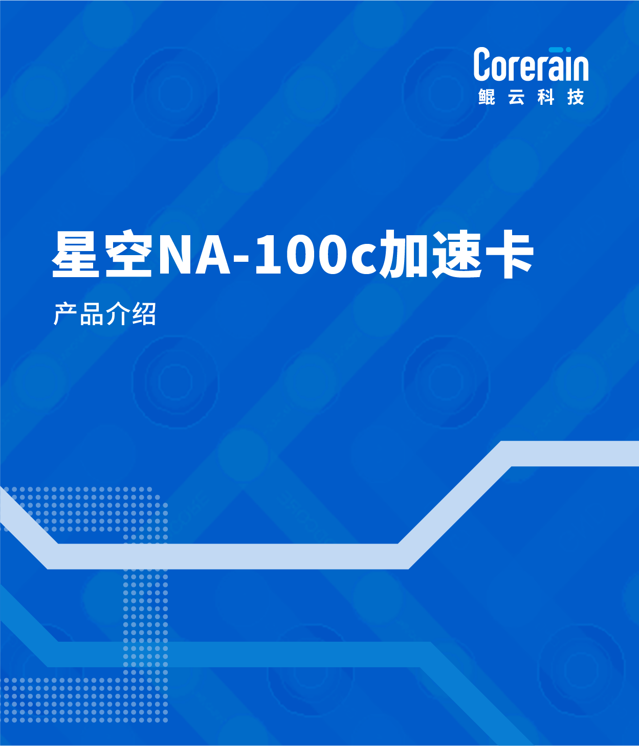 星空NA-100c加速卡产品介绍
