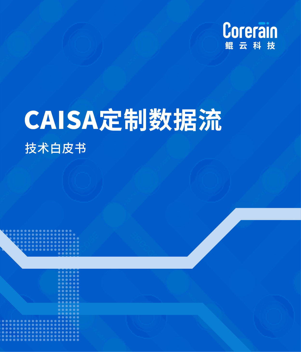 CAISA定制数据流技术白皮书