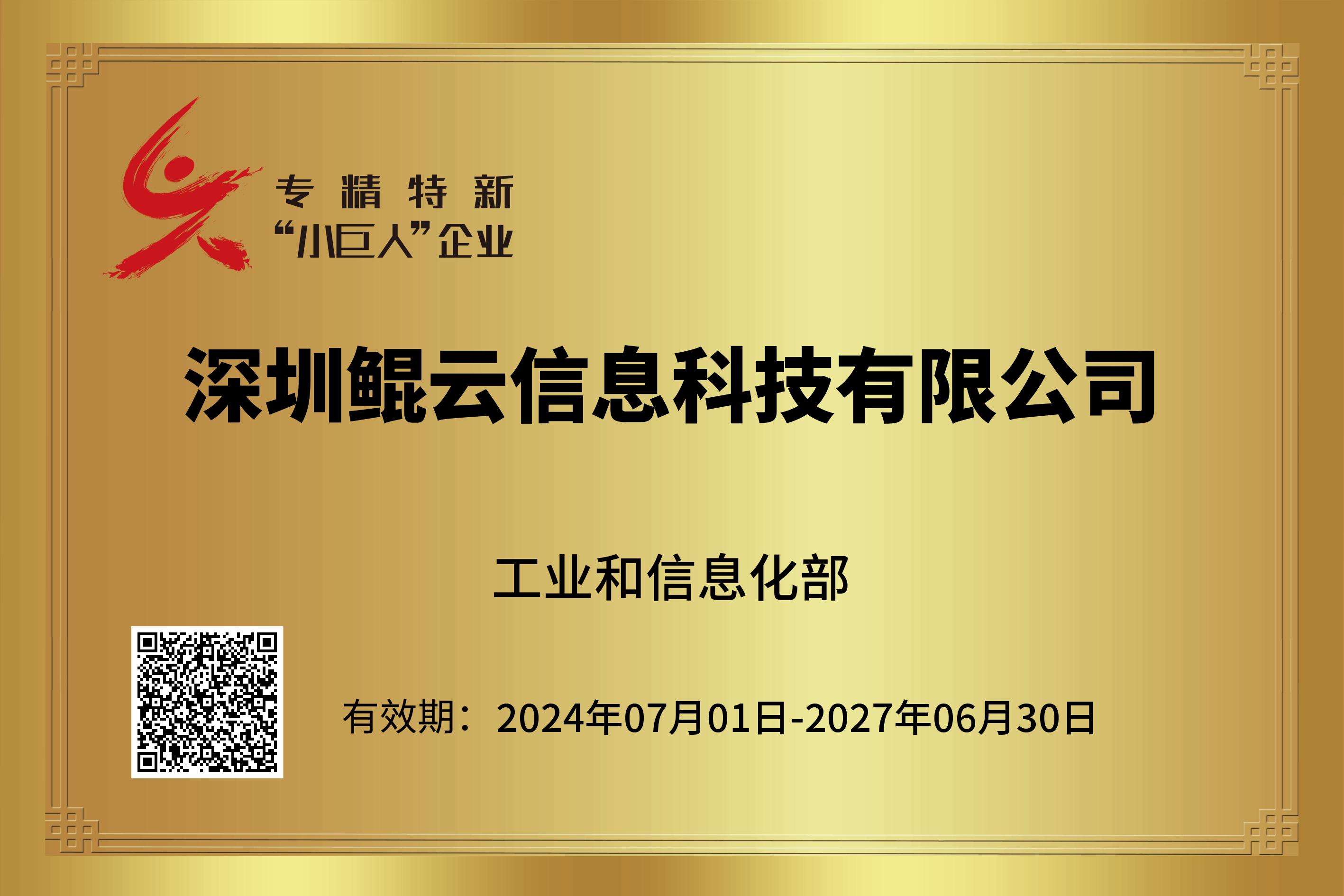 国家级专精特新“小巨人”企业