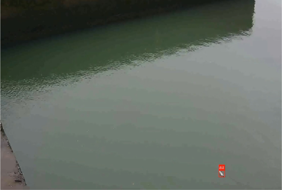 河道漂浮物检测