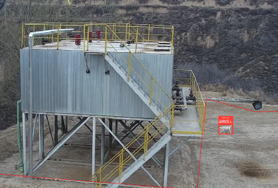 Wildlife Intrusion Detection