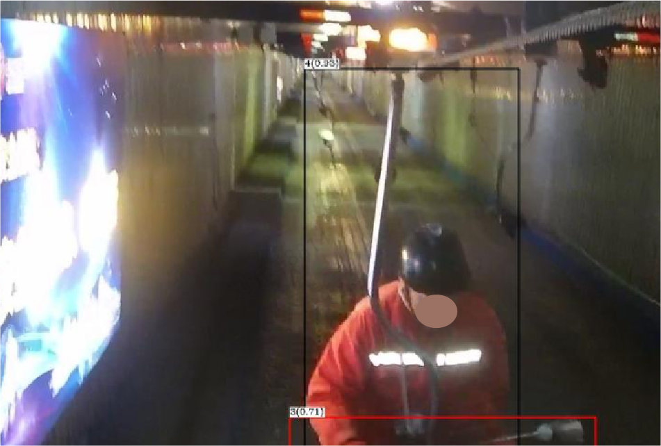 Illegal Object Size Detection in Monkey Car Rides