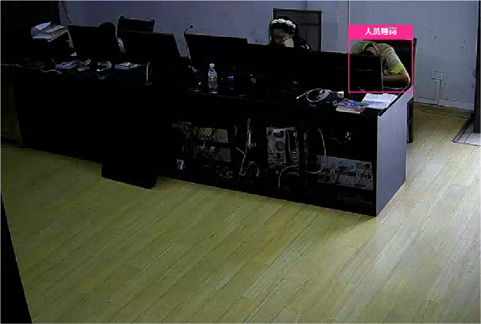 Sleep on Duty Recognition