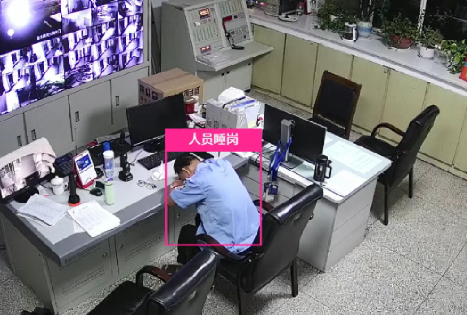 Sleep on Duty Recognition