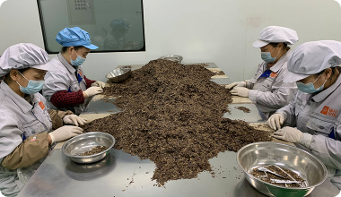 Difficulties in Personnel Operation Management